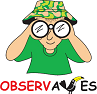 Logomarca Observaves